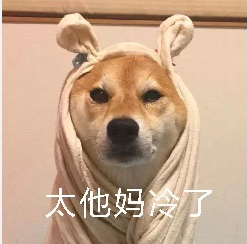 太他妈冷了（狗子裹被子） - 柴犬被窝表情包