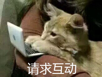 请求互动（猫咪） - 近期斗图表情包精选-2019/1/31