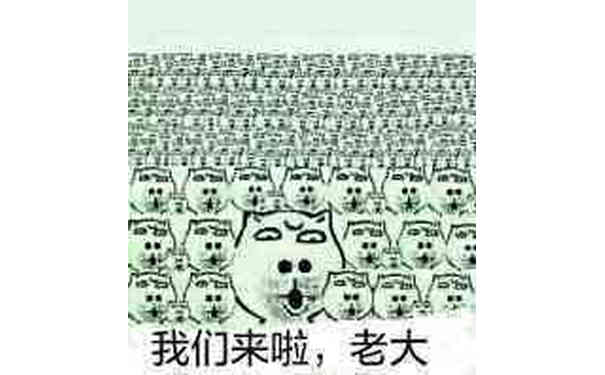 我们来啦，老大！·