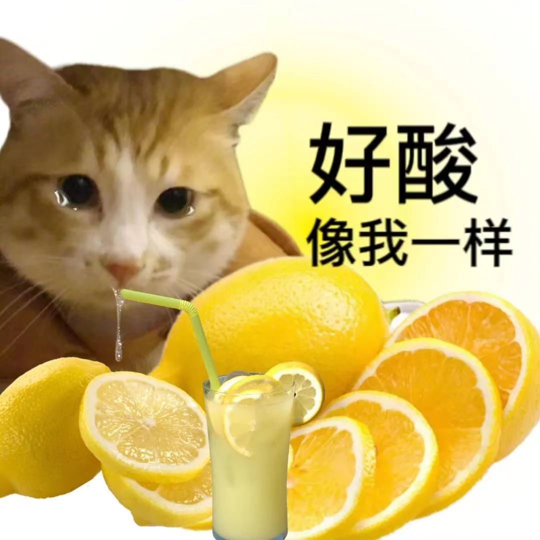 好酸像我一样(猫猫表情包)