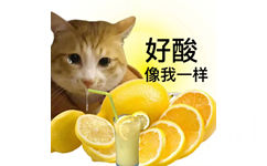 好酸像我一样(猫猫表情包)