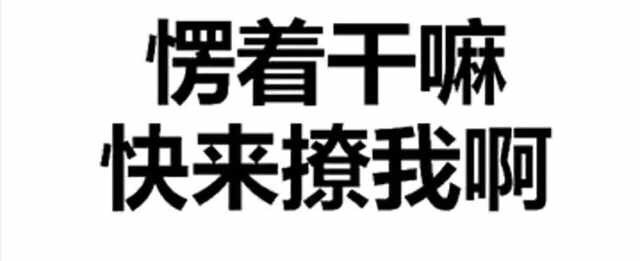 愣着干嘛，快来撩我啊 - 微信纯文字表情包