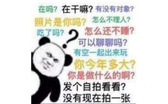 在吗?在干嘛?有没有对象?照片是你吗?怎么不理人吃了吗?2怎么还不睡?可以聊聊吗?有空一起出来玩你今年多大?你是做什么的啊?发个自拍看看?没有现在拍一张