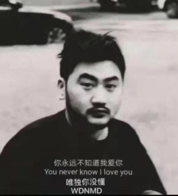 你永远不知道我爱你You never know I love you 唯独你没懂WDNMD