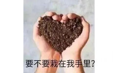 要不要栽在我手里?