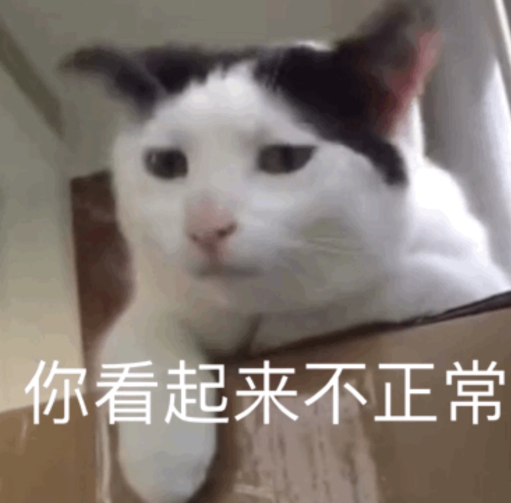 你看起来不正常 - 全是猫咪表情包