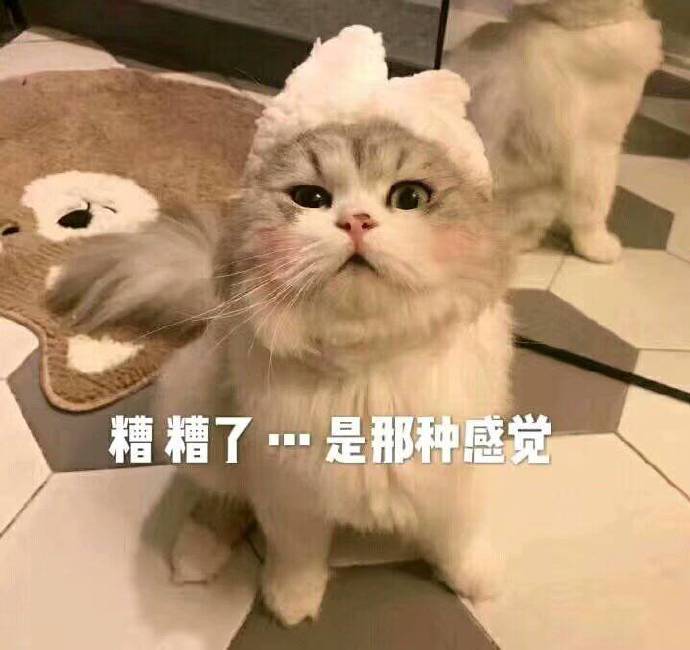 糟了 是那种感觉（猫咪脸红）