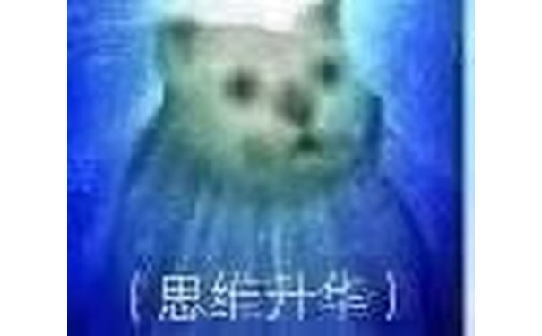 思维升华(神奇猫猫表情包)