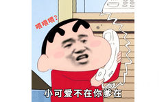 小新表情包