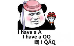 I have a A~ I have a QQ~啊!QAQ