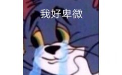 我好卑微（猫和老鼠汤姆猫流泪表情包）