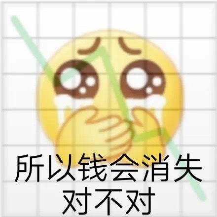 所以钱会消失对不对 - 基金表情包