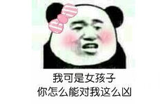 我可是女孩子你怎么能对我这么凶 - 熊猫头群聊装逼表情包 ​