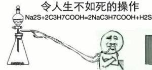 员令人生不如死的操作Na2s+2c3h7cooh-2nac3h7cooh+H2S - 令人XX的操作，化学专业必备