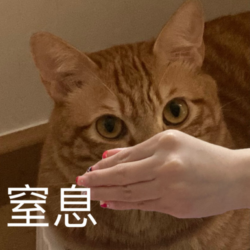 窒息 - 猫猫表情包