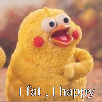 I fat, I happy - I fat i happy. You bb what ？！ ​​