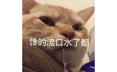 馋的流口水了都(猫猫表情包)