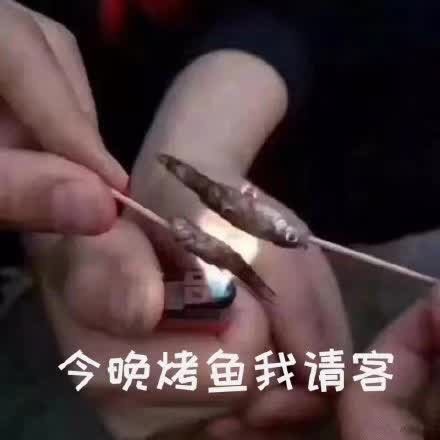 今晚烤鱼我请客