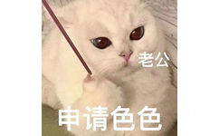 老公申请色色 - 猫猫涩涩表情包