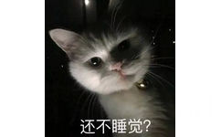 还不睡觉？（猫咪）