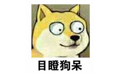 目瞪狗呆 - 大眼doge