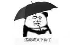 （熊猫头）这座城又下雨了