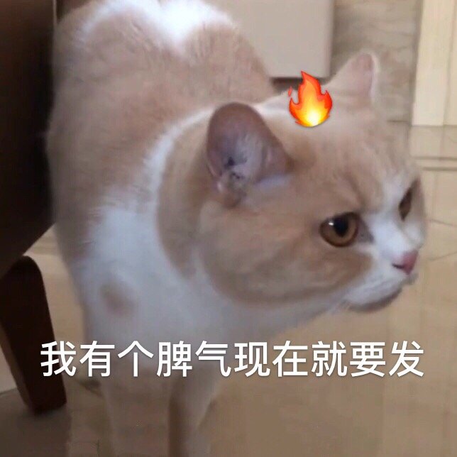 我有个脾气现在就要发（猫咪表情包）