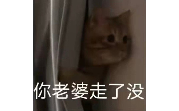 你老婆走了没(猫咪表情包)