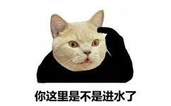 你这里是不是进水了 - 猫脸熊猫人表情包