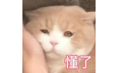 懂了(猫咪表情包)