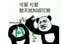 可爱可爱整天就知道可爱我为什么这么可爱 - 熊猫头斗图表情包