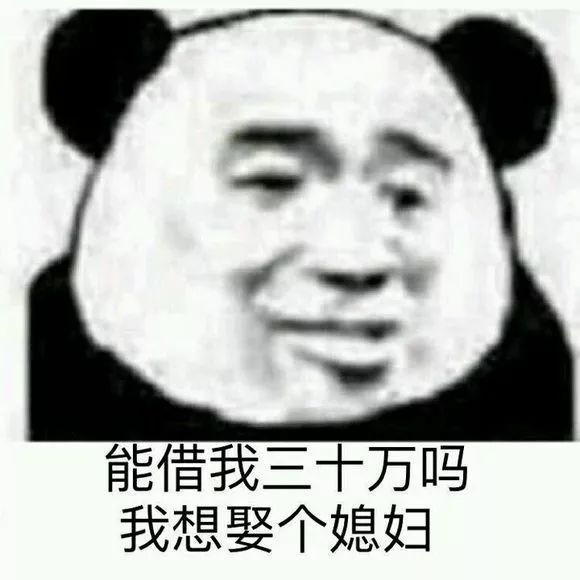 能借我三十万吗我想娶个媳妇