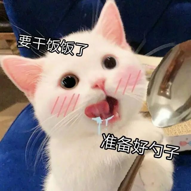 要干饭了  准备好勺子 - 猫猫表情包系列