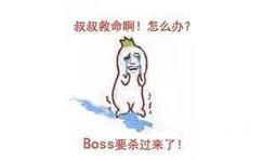 叔叔救命啊！怎么办？BOSS要杀过来了！（金馆长罗罗布哭了）