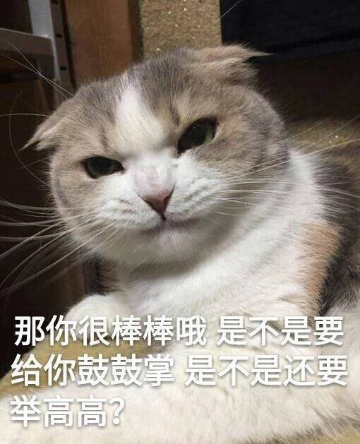 那你很棒棒哦是不是要给你鼓鼓掌是不是还要(猫咪)