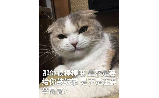 那你很棒棒哦是不是要给你鼓鼓掌是不是还要(猫咪)