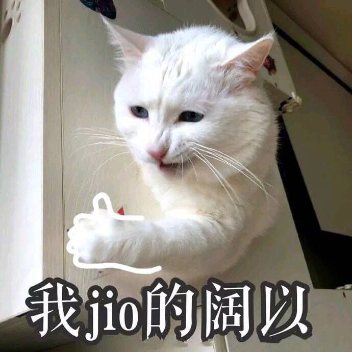 我 jio 得阔以（我觉得可以 猫咪）