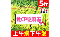 5斤不泡水更安全处CP送蒜苔上午摘下午发