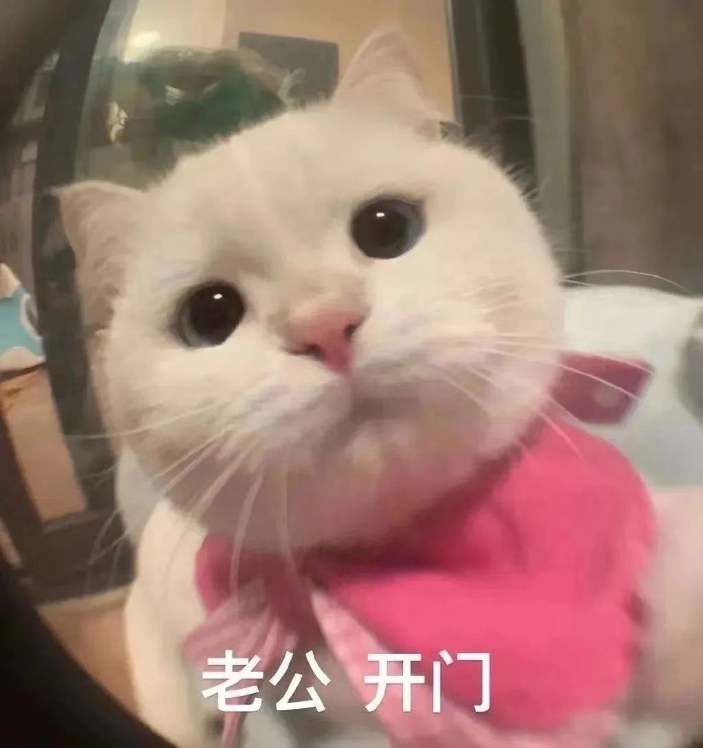 老公开门(猫猫表情包)