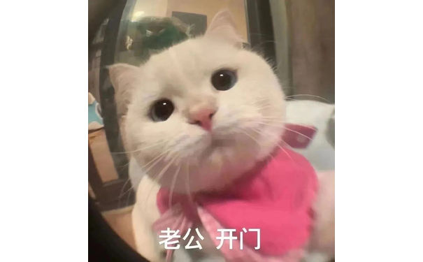 老公开门(猫猫表情包)