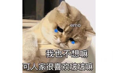 emo 我也不想嘛可人家很喜欢啵啵嘛