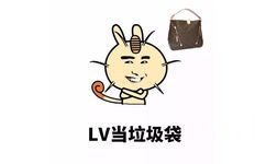 LV当垃圾袋 - 我就是这么有钱有势