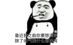 靠近我之前你要想清楚，除了帅气我什么都没有（熊猫头）