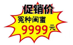 促销价冤种闺蜜9999元 - 商场促销表情包