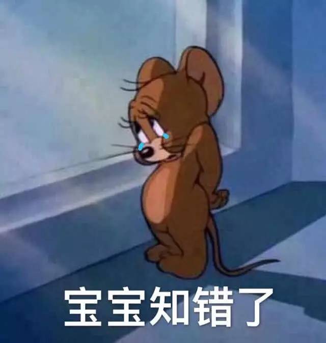 宝宝知错了(猫和老鼠杰瑞鼠表情包)