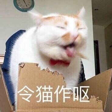 令猫作呕