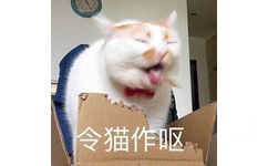 令猫作呕