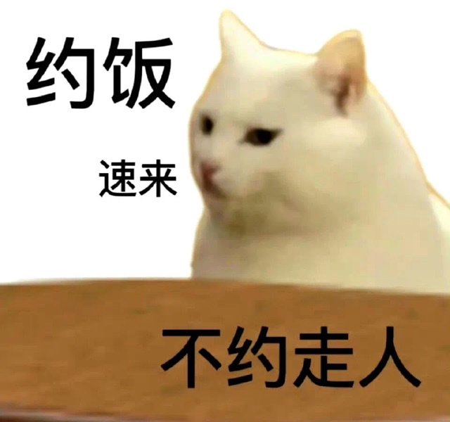 约饭速来不约走人(猫咪表情包)