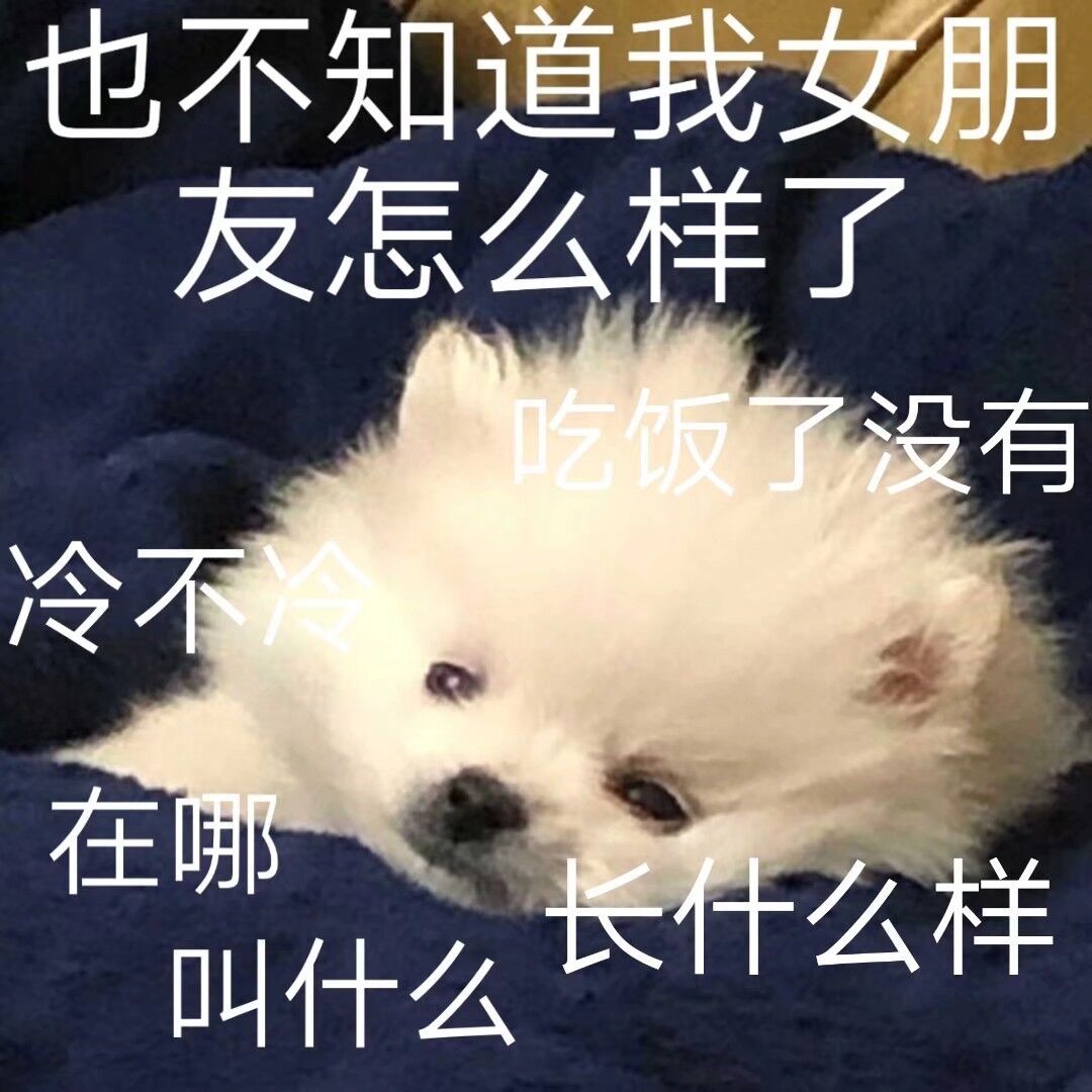 也不知道我女朋友怎么样了吃饭了没有冷不冷在哪长什么样叫什么