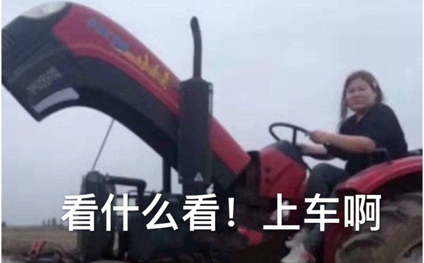 看什么看！上车啊